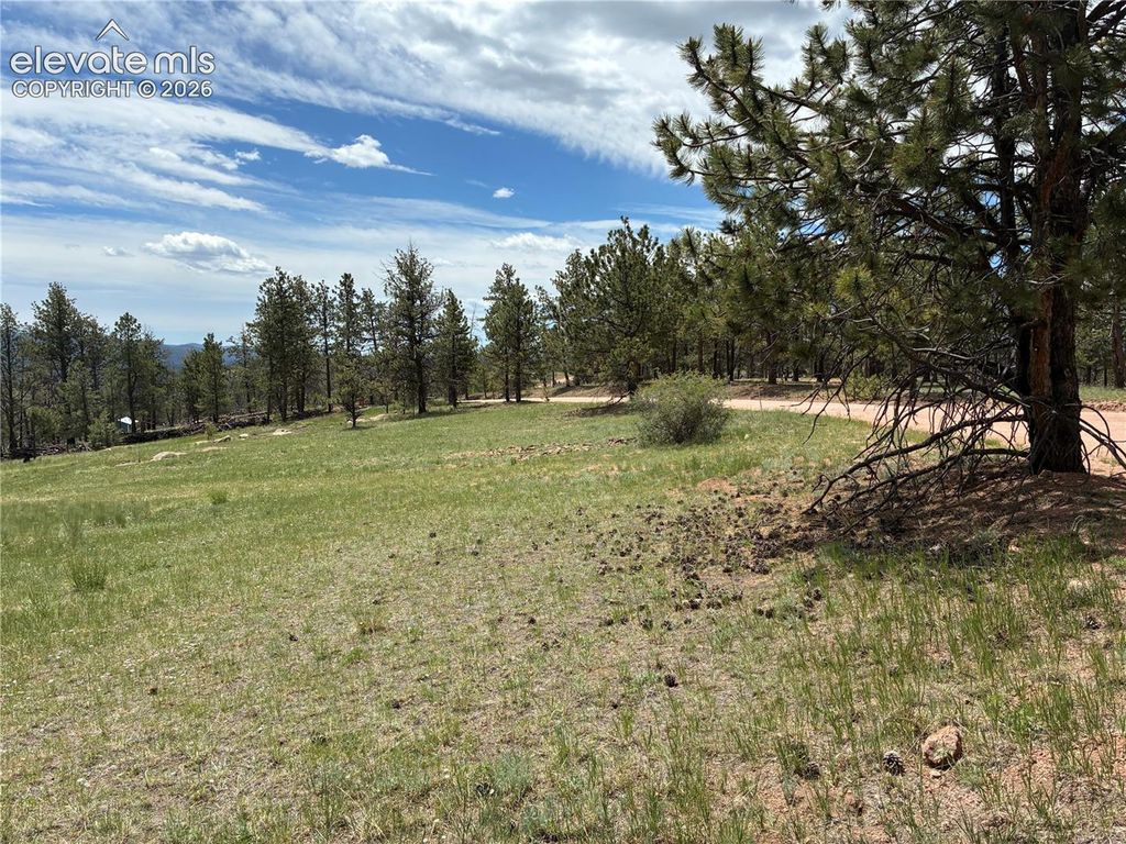 266 Chapparal Trail, Florissant, CO 80816 — photo 2