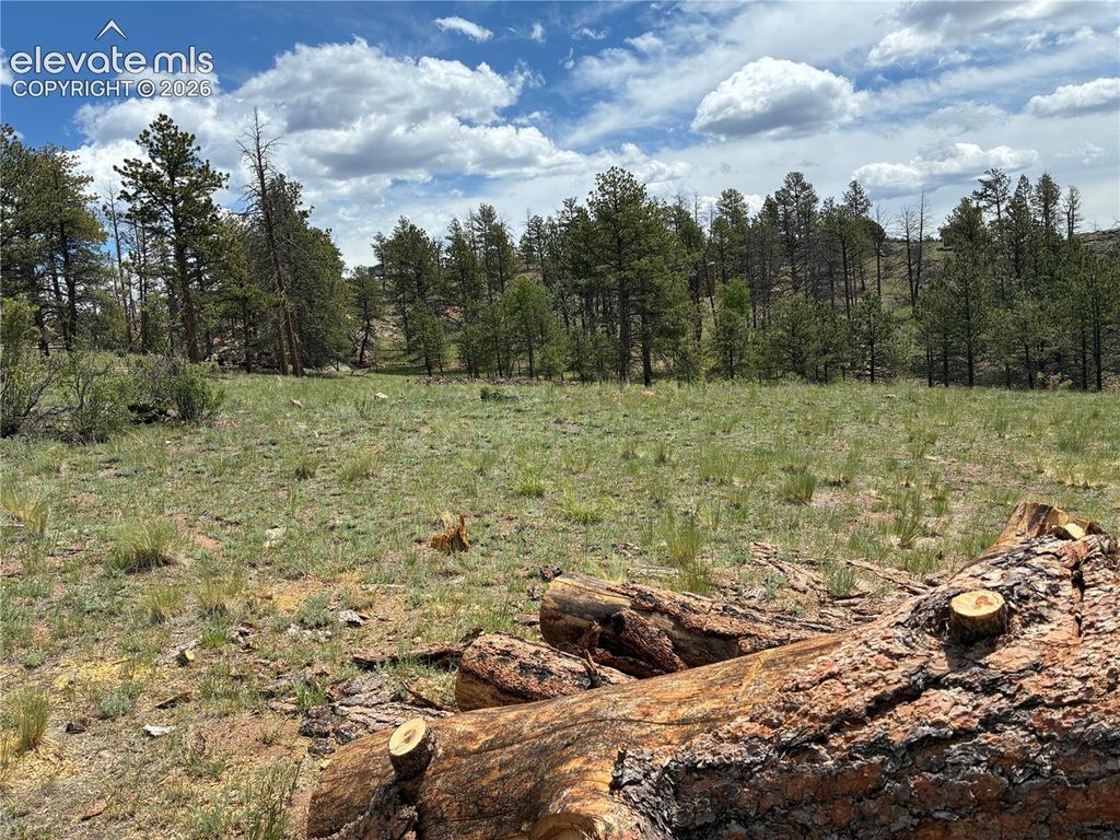 266 Chapparal Trail, Florissant, CO 80816 — photo 3