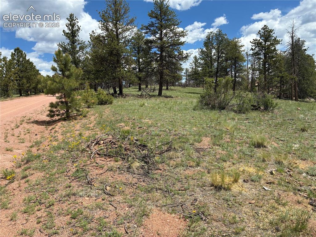 266 Chapparal Trail, Florissant, CO 80816 — photo 4