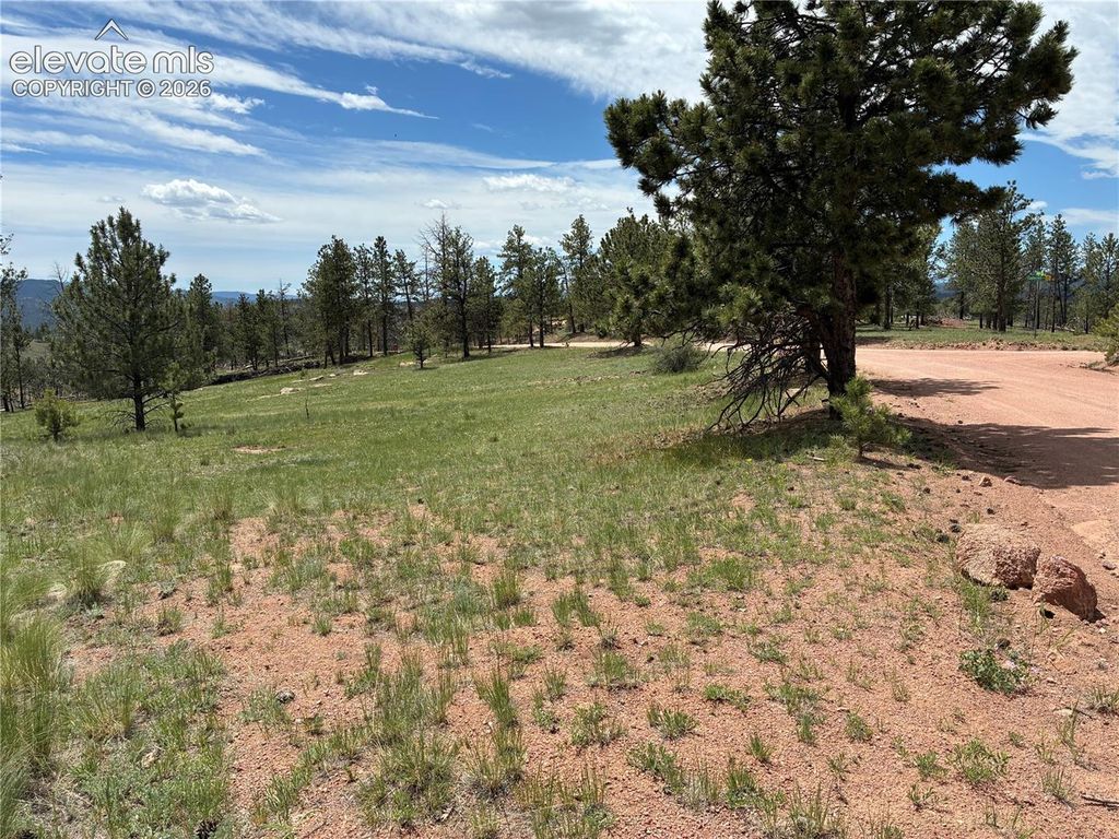 266 Chapparal Trail, Florissant, CO 80816 — photo 5