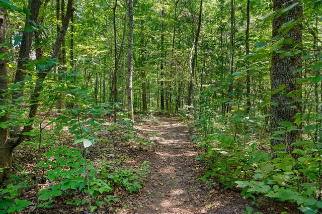 8012 Rose Ridge Pvt Lane, Fairview, TN 37062