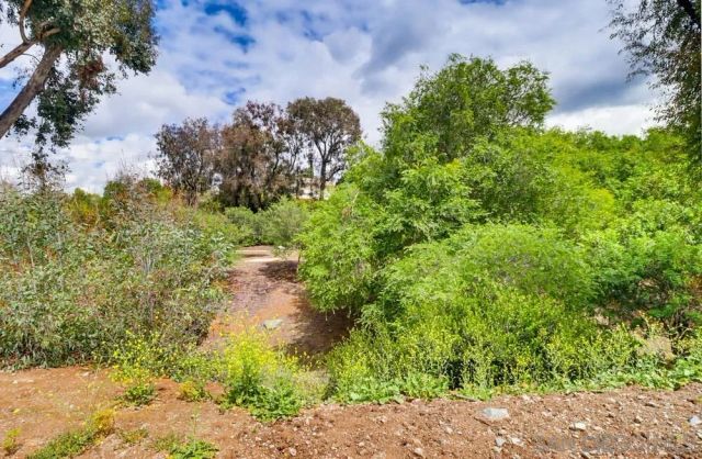 3123 Villa Espana, Spring Valley, CA 91978