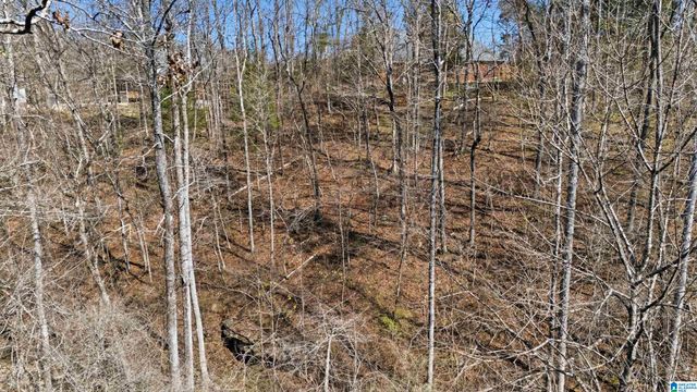 8550 HIDDEN CREEK DRIVE, Gardendale, AL 35071