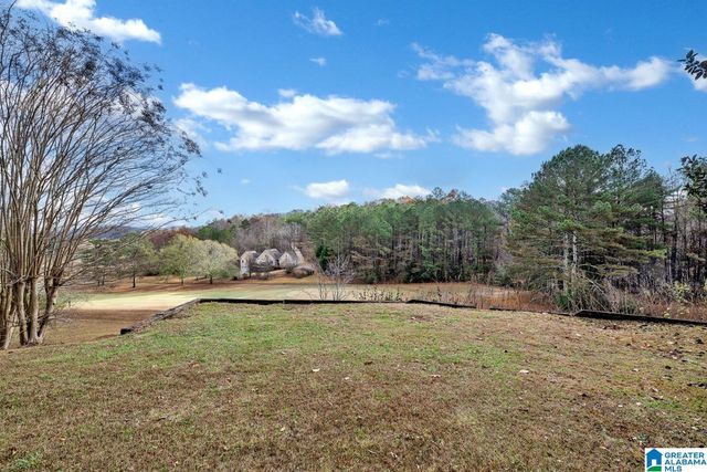 411 QUAIL RIDGE ROAD, Oneonta, AL 35121