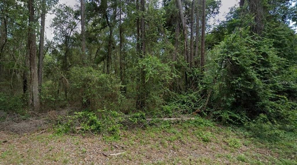9851 N DAROCA WAY, Citrus Springs, FL 34434