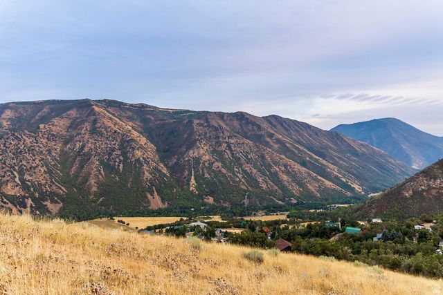 1511 S VALLEY VIEW CIR, Springville, UT 84663