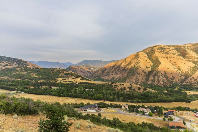 1511 S VALLEY VIEW CIR, Springville, UT 84663