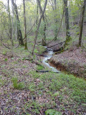 1143 Pendergraft Road, Noel, MO 64854