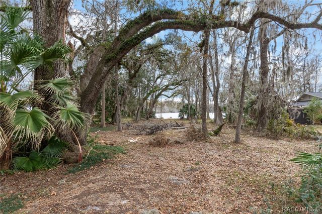 8763 E Anglers Court, Floral City, FL 34436