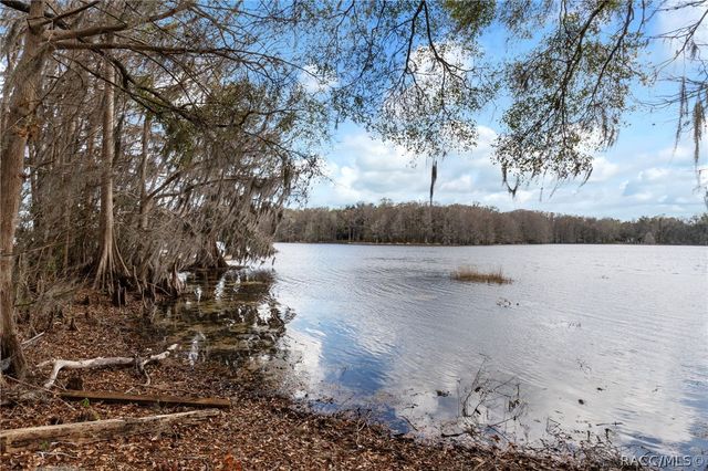 8763 E Anglers Court, Floral City, FL 34436