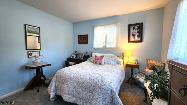 317 Wagon Wheel Rd, Montague Twp., NJ 07827
