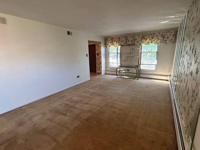 303 S University Avenue, Glenwood, IL 60425