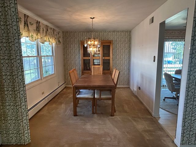 303 S University Avenue, Glenwood, IL 60425