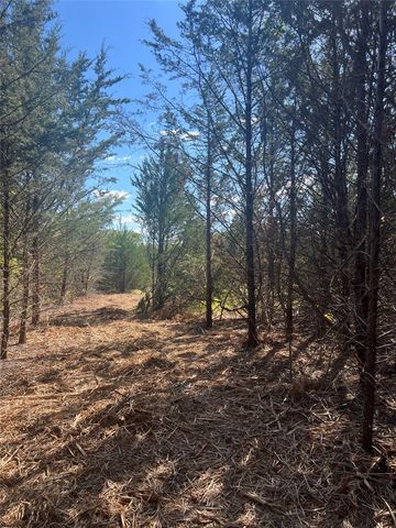 TBD Rochelle Cannon Road, Whitewright, TX 75491