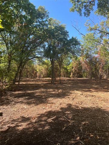 TBD Rochelle Cannon Road, Whitewright, TX 75491