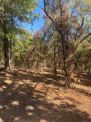 TBD Rochelle Cannon Road, Whitewright, TX 75491