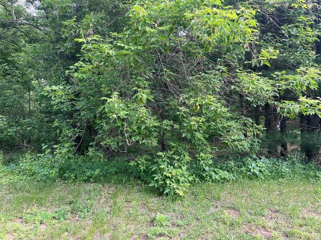 2946 14th Avenue, Wisconsin Dells, WI 53965