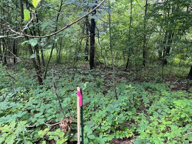 2946 14th Avenue, Wisconsin Dells, WI 53965