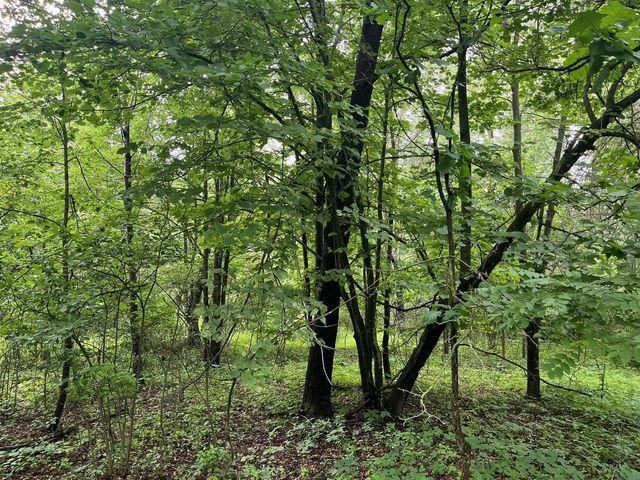 2946 14th Avenue, Wisconsin Dells, WI 53965