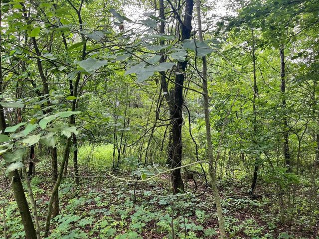 2946 14th Avenue, Wisconsin Dells, WI 53965