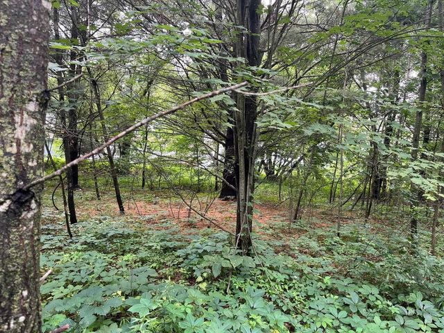 2946 14th Avenue, Wisconsin Dells, WI 53965