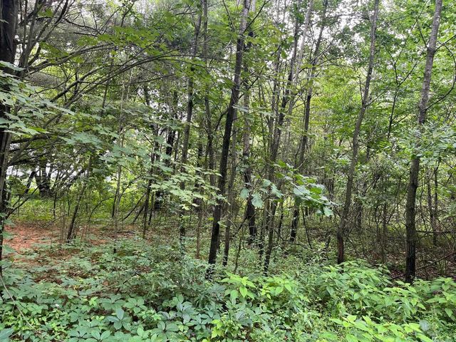 2946 14th Avenue, Wisconsin Dells, WI 53965