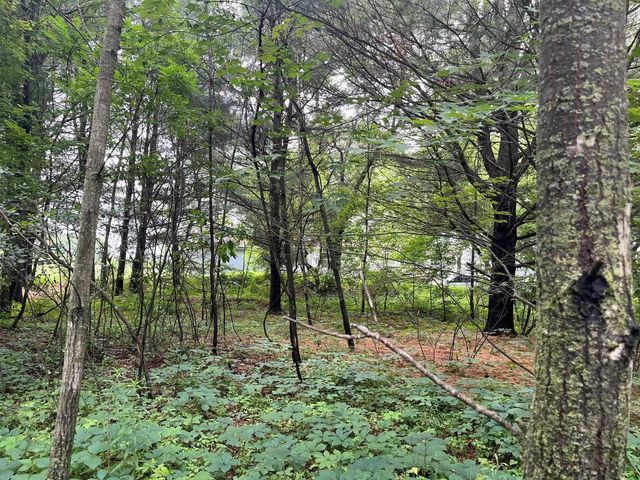 2946 14th Avenue, Wisconsin Dells, WI 53965