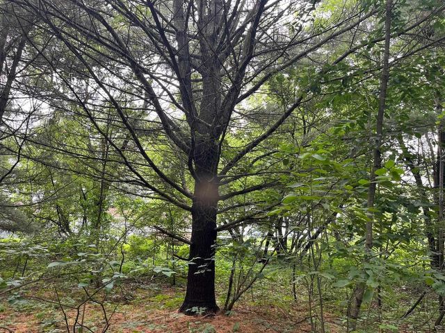 2946 14th Avenue, Wisconsin Dells, WI 53965