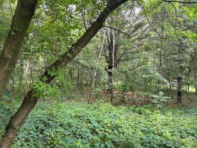 2946 14th Avenue, Wisconsin Dells, WI 53965