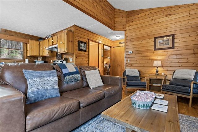 206 Sunny Brook Road, Blue Ridge, GA 30513