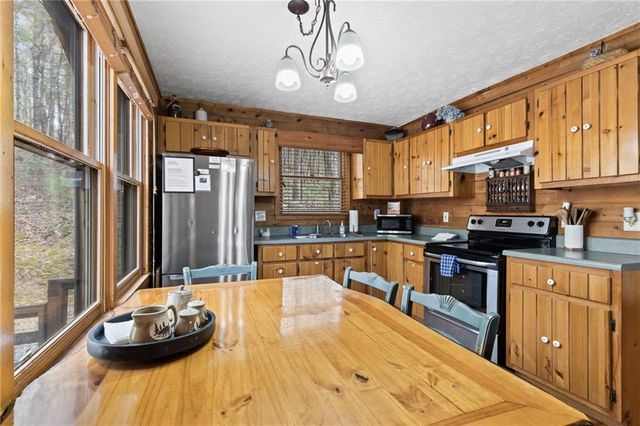 206 Sunny Brook Road, Blue Ridge, GA 30513