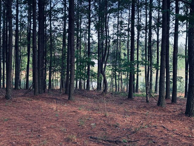 255 Waterwheel Way, Jasper, TN 37347