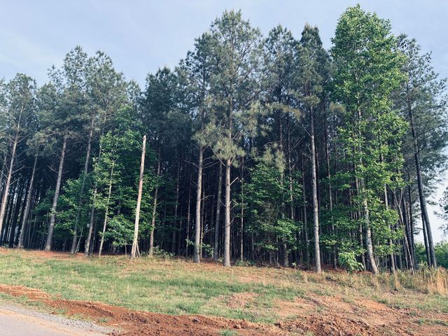 255 Waterwheel Way, Jasper, TN 37347