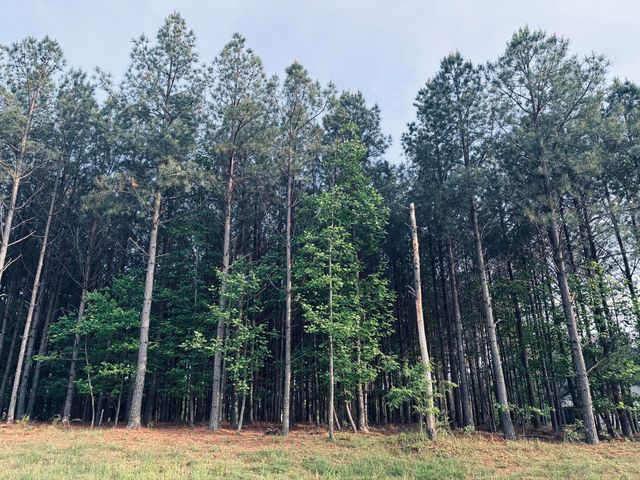 255 Waterwheel Way, Jasper, TN 37347