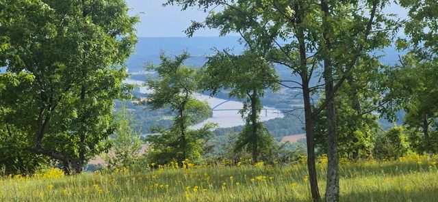 255 Waterwheel Way, Jasper, TN 37347