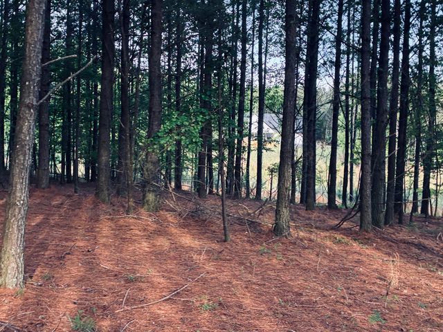 255 Waterwheel Way, Jasper, TN 37347
