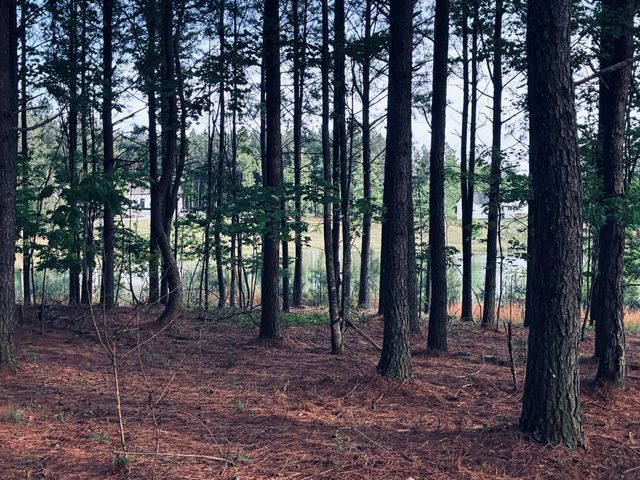 255 Waterwheel Way, Jasper, TN 37347