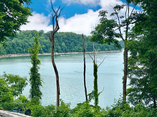 120 Woodson Cove, Bronston, KY 42518