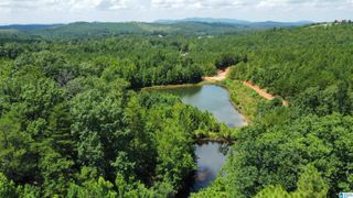 11.54 Acres TUCK-A-WAY DRIVE, Piedmont, AL 36272