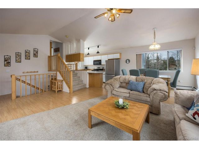 303 Willow Lake Ct, Silverthorne, CO 80498