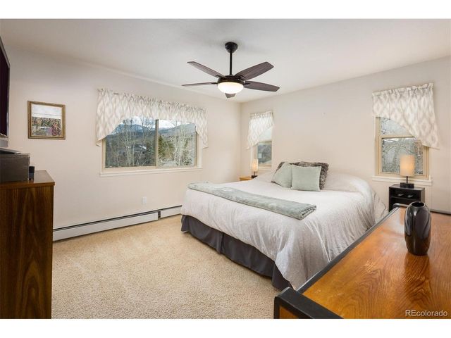 303 Willow Lake Ct, Silverthorne, CO 80498