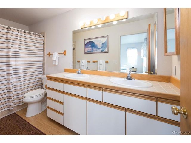 303 Willow Lake Ct, Silverthorne, CO 80498