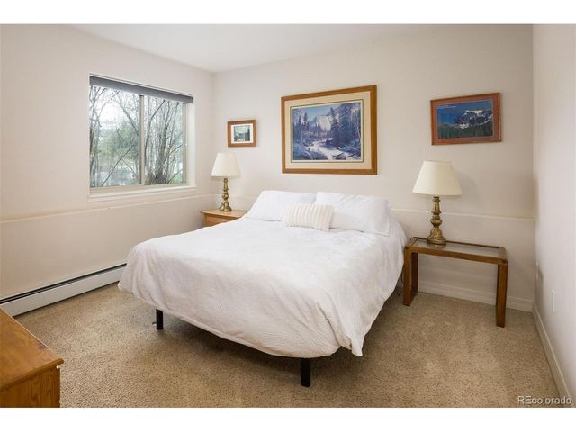 303 Willow Lake Ct, Silverthorne, CO 80498