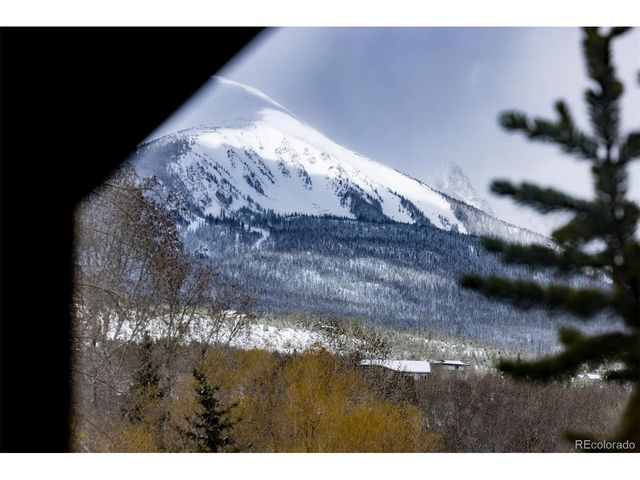 303 Willow Lake Ct, Silverthorne, CO 80498