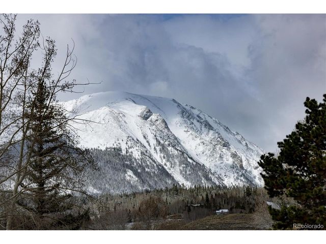303 Willow Lake Ct, Silverthorne, CO 80498