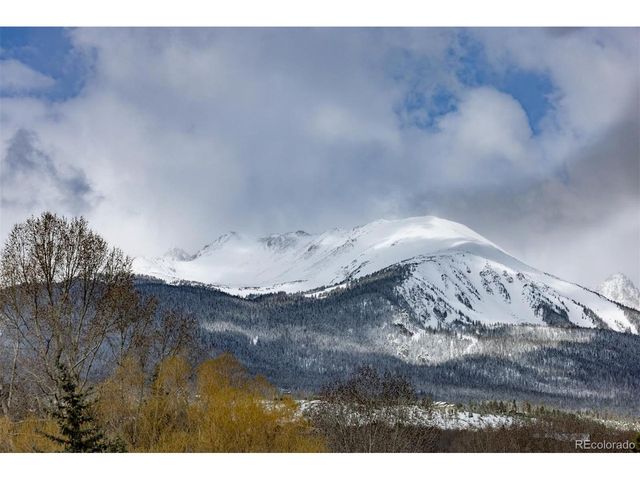303 Willow Lake Ct, Silverthorne, CO 80498