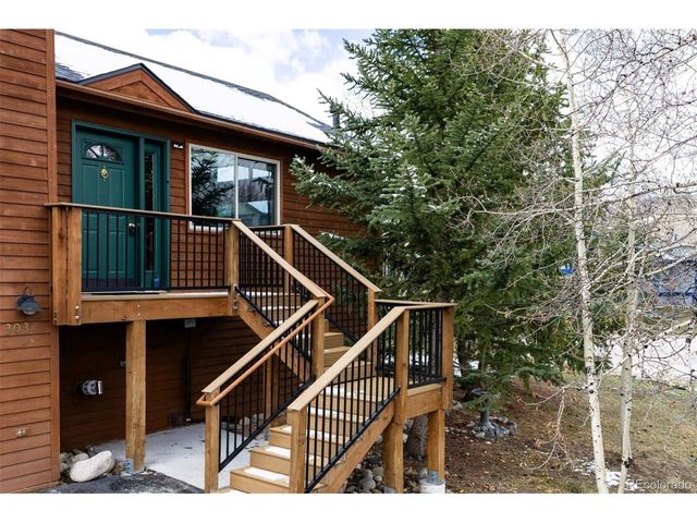303 Willow Lake Ct, Silverthorne, CO 80498