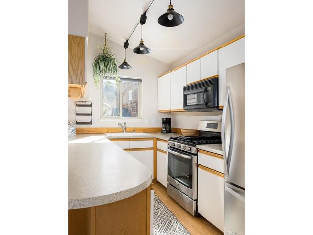 303 Willow Lake Ct, Silverthorne, CO 80498