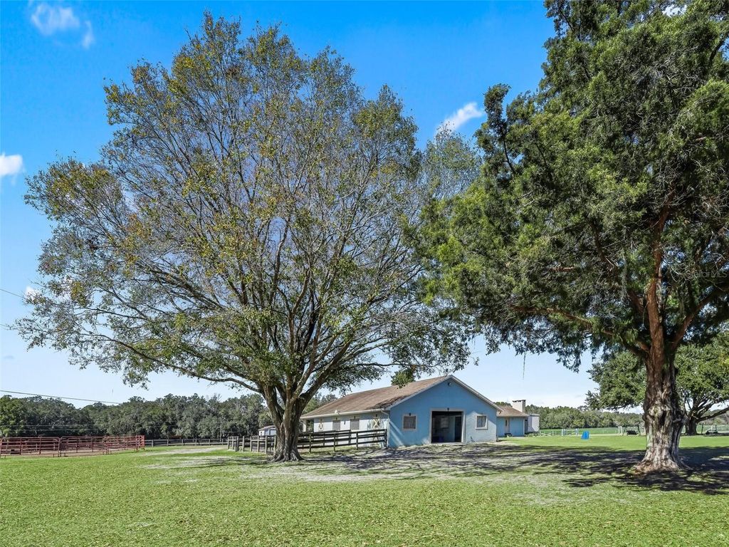 250 NE 195TH AVENUE, Williston, FL 32696