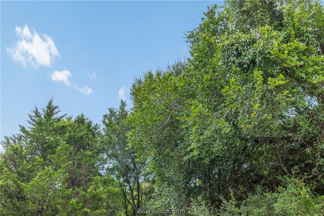 3320 County Road 430, Dime Box, TX 77853